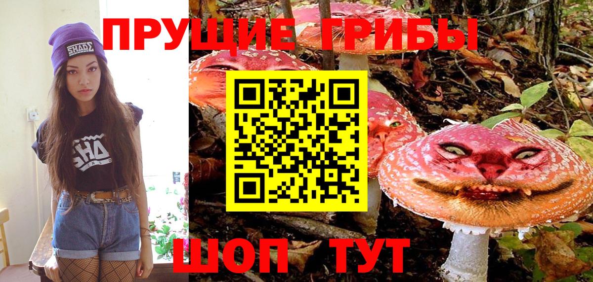 Тайшет  Галлюциногенные грибы Psilocybe  Вход с VPN 