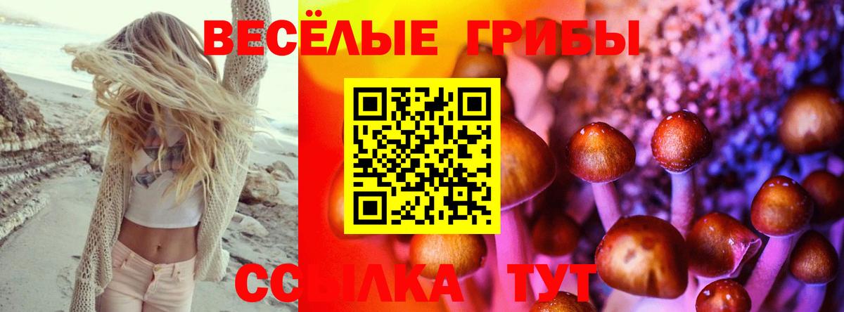 Галлюциногенные грибы Psilocybine cubensis Тайшет