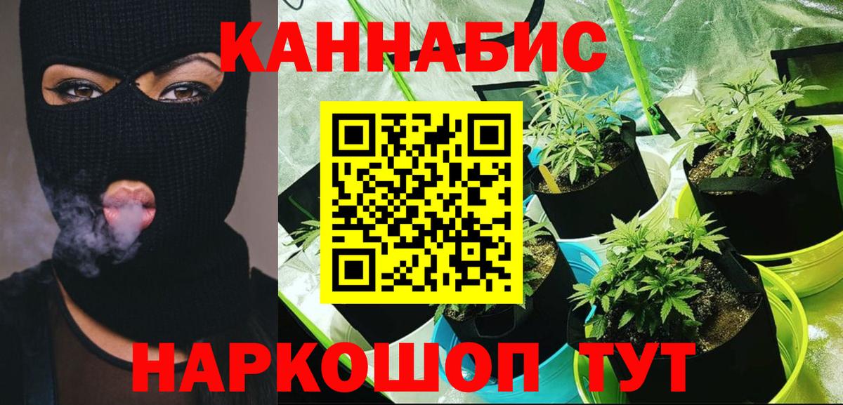 Бошки Шишки Amnesia Тайшет